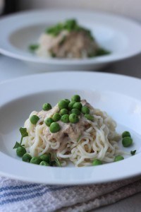 Tofu Shirataki Alfredo Experiment