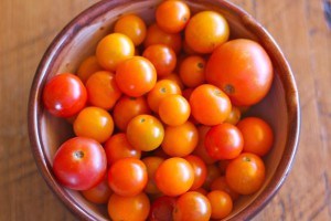 http://www.homemadelevity.com/wp-content/uploads/2013/05/tomato-you-tube-site.jpg