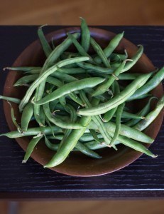 Why Plant-Based Diets Fail