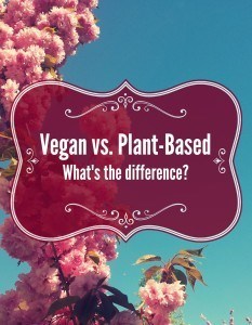 vegan vs plant based